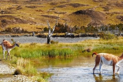 2025te Mutlaka Gitmeniz Gereken 10 Destinasyon